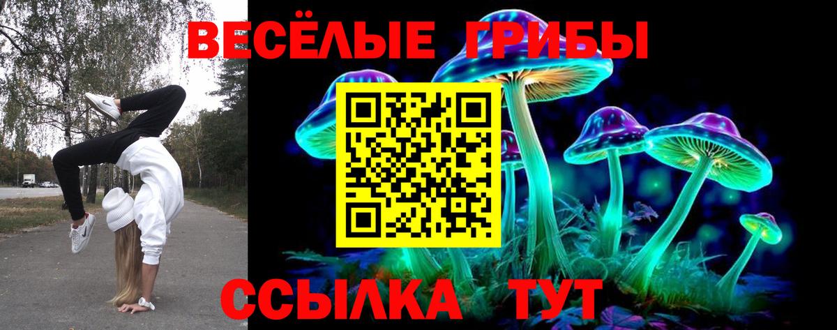 Россия  Галлюциногенные грибы Psilocybe  Вход с VPN 